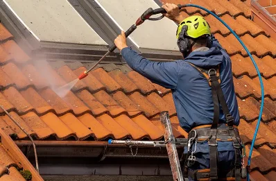 Démoussage et hydrofuge de toiture à Cépet